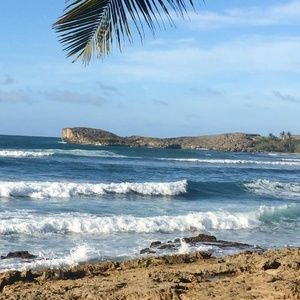 Meet your Posher, Dary